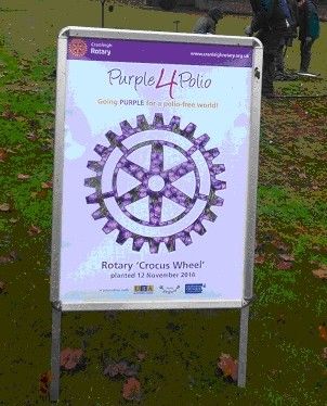 Purple4 polio poster